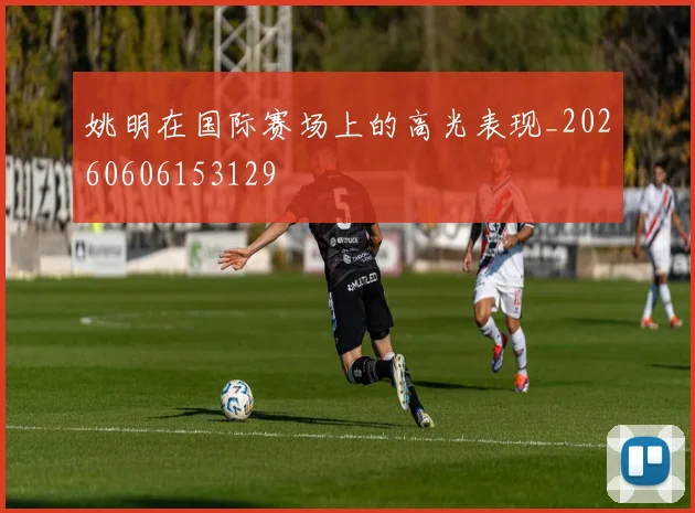 姚明在国际赛场上的高光表现_20260606153129